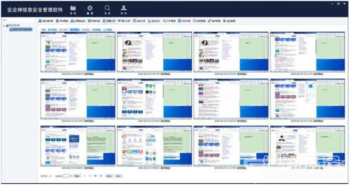 安企神信息安全管理軟件 V5.2 企業上網行為監控與網絡安全的綠色守護者